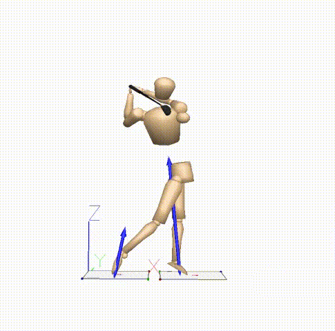 3d biomechanical golf swing